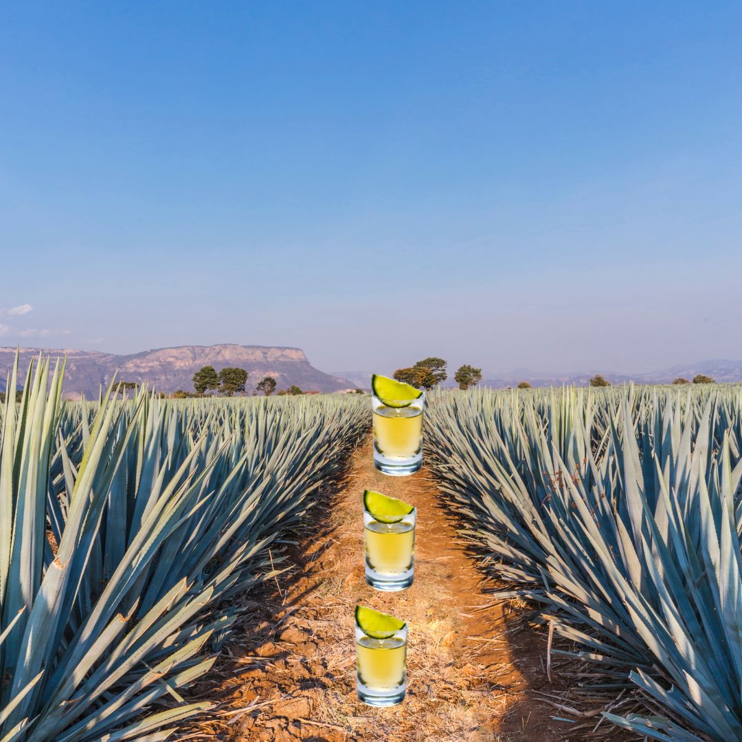Tequila & Smoked Agave