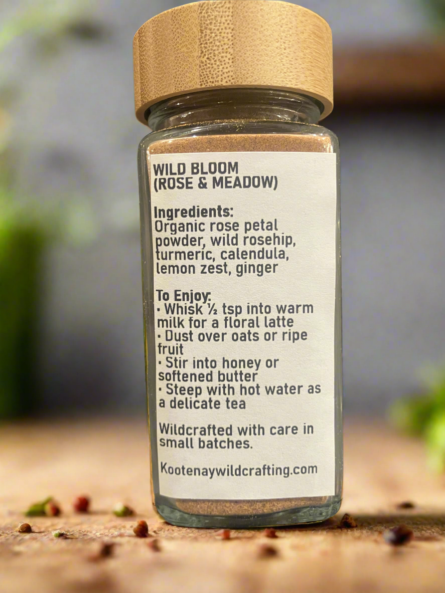 Wild Bloom (Rose & Meadow)