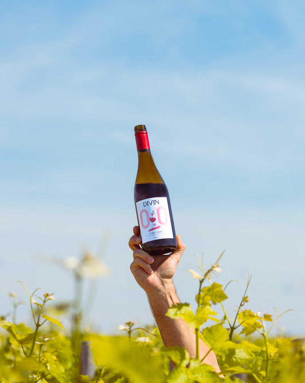 DIVIN 0% Pinot Noir