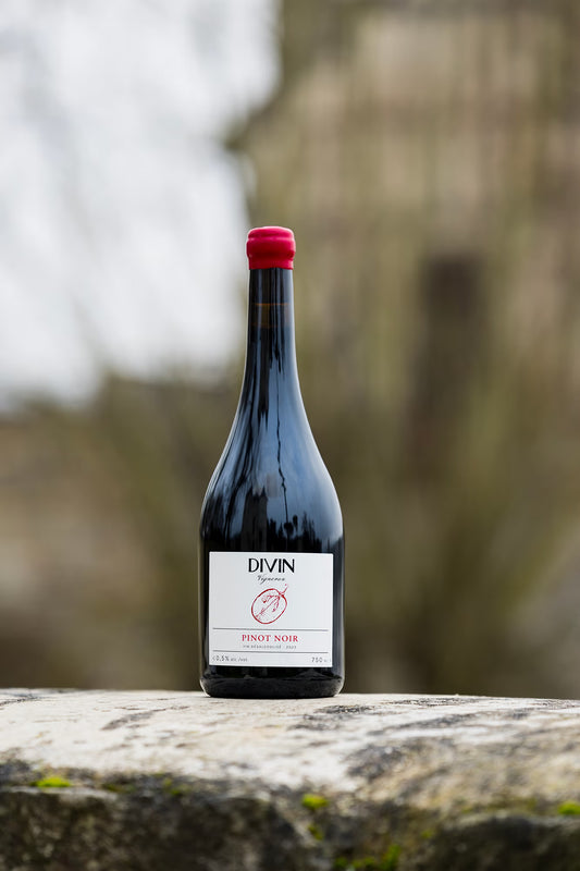 DIVIN Vigneron Pinot Noir, 2023 Vintage - ZERO Cocktail Bar