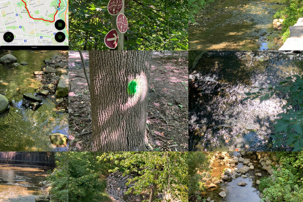SUNDAY WALK / HIKE TORONTO